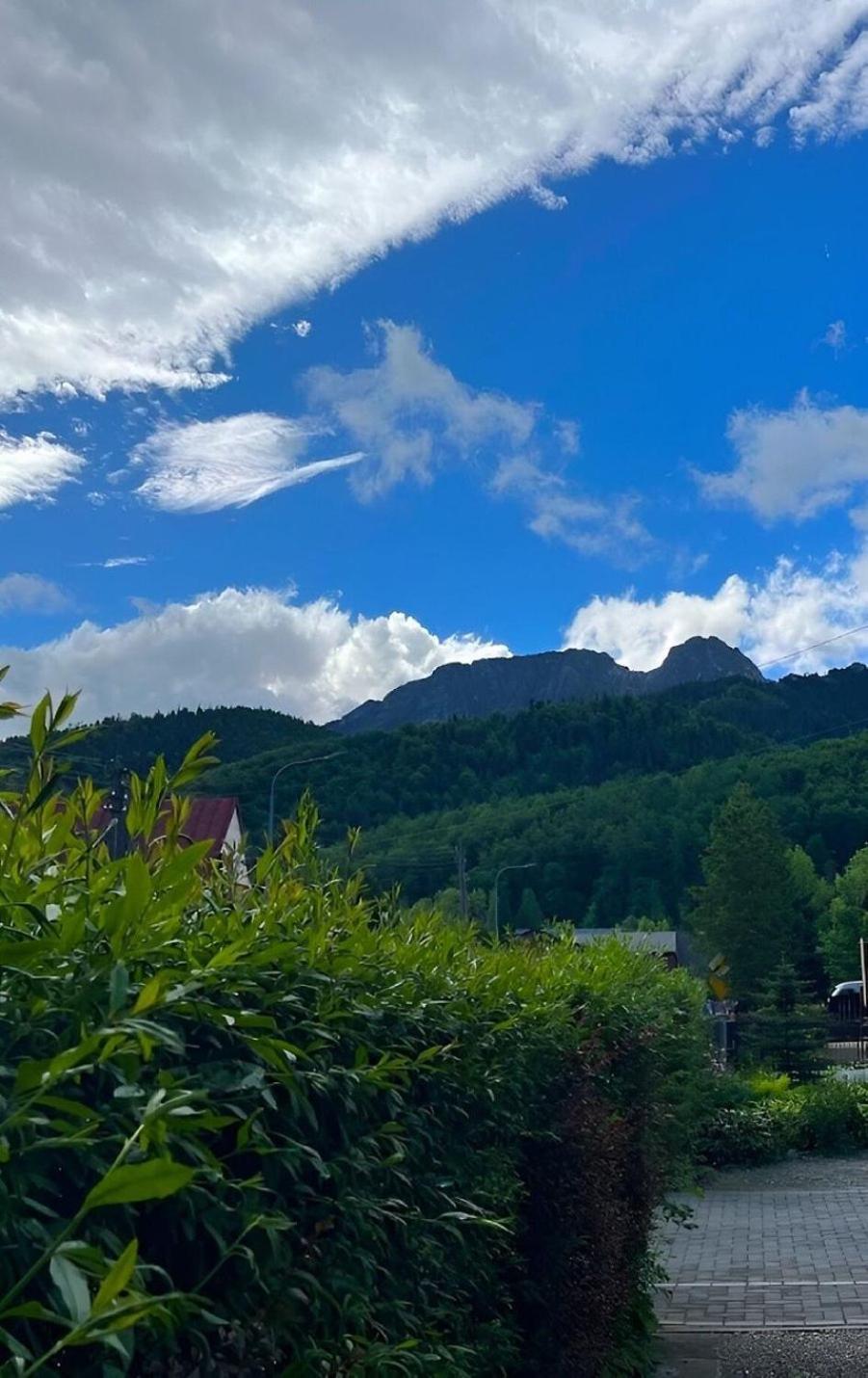 Dom Lesnik Zakopane